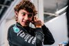 Nico Rosberg: Antonelli sollte 2025 ein Jahr bei Williams fahren