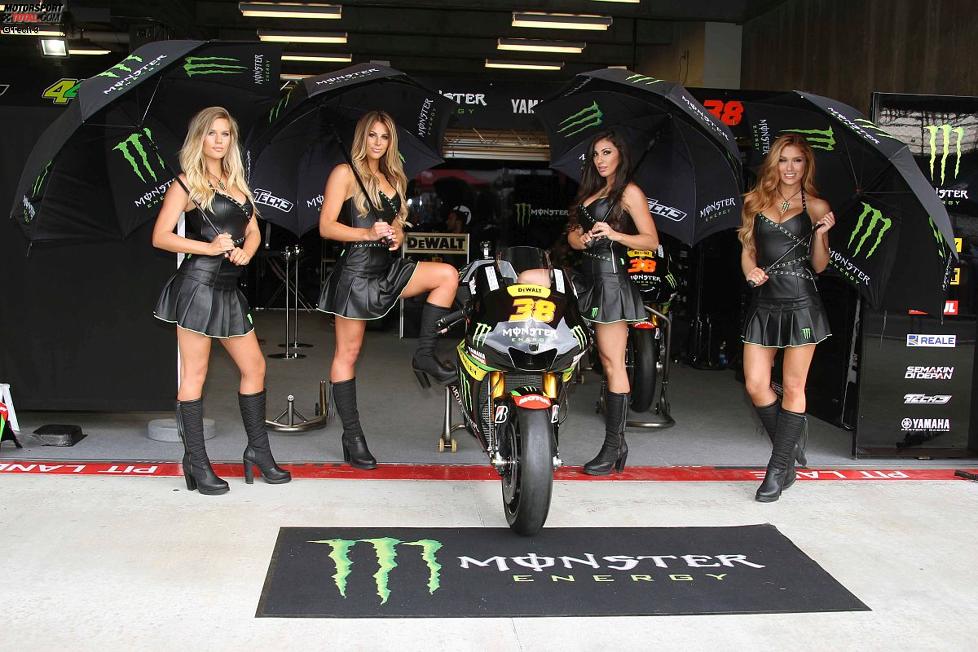 Fotos: MotoGP: Monster Energy Girls - Foto 10/23