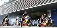 Rookies Cup