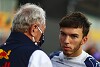 Helmut Marko: 'Müssen schauen, wie es mit Gasly weitergeht'